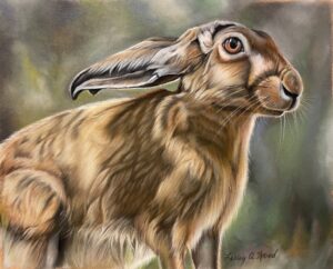 Hare, Leveret, pastel 