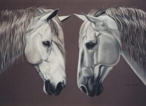 Andalusian & Lipizzaner