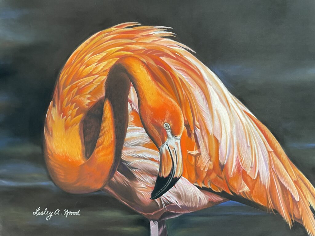 Flamingo