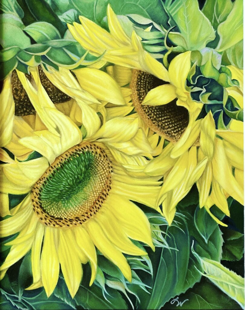 Sunflowers