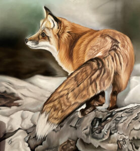 Fox in Snow - SOLD