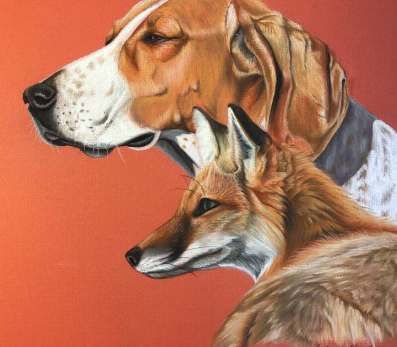 Hound and Fox