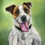 Moe Jack Russell Terrier